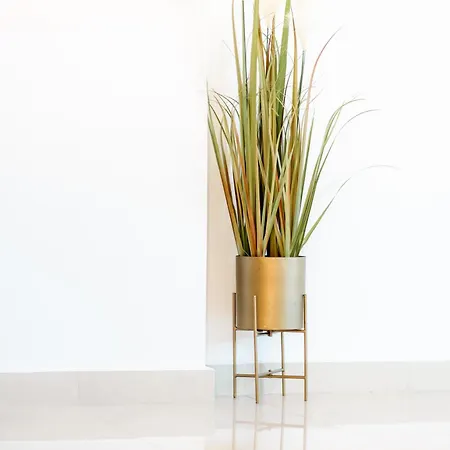 Vdg Seafront Elegant Holiday home